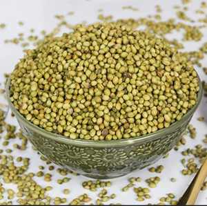 Semillas de Cilantro Enteras de Primera Calidad, Especia Natural para Cocinar, Procesamiento de Alimentos y Suministro de Ingredientes al por Mayor - Product Image 1