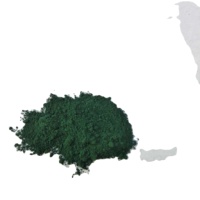 Fabricants directement lot Oxyde de fer vert 5605 revêtement inorganique vert Pigment peinture céramique poudre de colorant