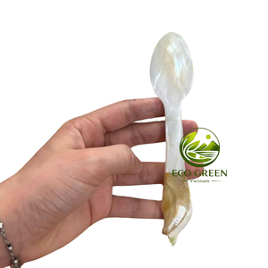 Cuchara de Concha Natural, Madreperla, Mini Cuchara Hecha a Mano de Lujo para Caviar Gourmet, Nido de Pájaro, Miel, Envases de Cosméticos y Belleza - Product Image 5