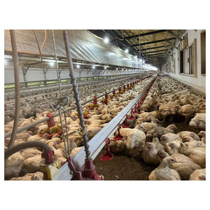 ปุ๋ยอินทรีย์เม็ดสีดำจากมูลไก่หมักคุณภาพเยี่ยมราคาคุ้มค่า - Product Image 1
