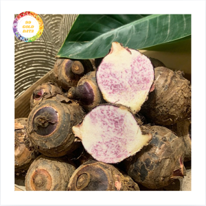 Rodajas de Taro Congeladas Naturales, Peladas, Altas en Fibra, Vegetales, para Distribución Mayorista, Soluciones Disponibles Ahora para el Mercado Minorista Global - Product Image 1