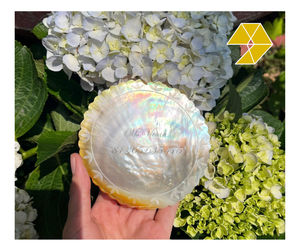 Mother Pearl Eco-Friendly Decorative Dish Scalloped Edge Lustrous Shell Plate Animal Theme Jewelry Holder Elegant Home Decor <b>MOP</b> - Product Image 1