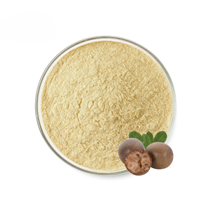 Approvisionnement en gros : Extrait de fruit du moine 100 % pur et naturel 50:1 en poudre, poudre de fruit du moine de haute qualité en gros d'Inde - Product Image 3