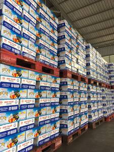 Bebidas energéticas Red Tiger de 250 ml en lata de aluminio, las más vendidas, con un potente impulso de energía de A&B Vietnam, precio al por mayor OEM ODM. - Product Image 3