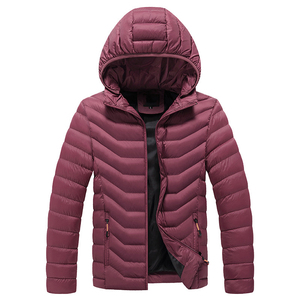 Fabricant de vestes d'hiver matelassées sur mesure, vente en gros de manteaux en duvet matelassés à capuche pour hommes, vêtements d'extérieur légers et chauds, veste d'hiver OEM - Product Image 5