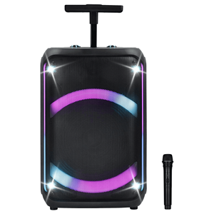 Enceinte portable noire de 12 pouces pour fête avec technologie TWS - Product Image 5