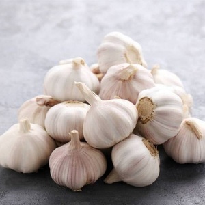 Ail Rouge de Haute Qualité, Ail Blanc Pur 5.0 cm, 6 cm, 5.5 cm, 4.5 cm, 6.0 cm et plus, en Gros, Fournisseur d'Ail - Product Image 6
