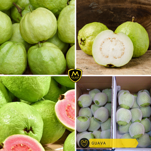 Goyaves fraîches de qualité supérieure de Ho Chi Minh City, Vietnam |   Marque internationale Kim Minh |   Approvisionnement en gros pour les importateurs et les distributeurs - Product Image 4