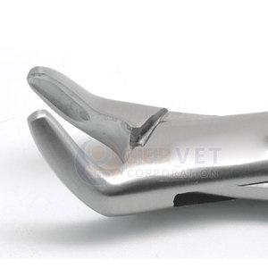 Achetez les meilleures pinces d'extraction dentaire S 151 de qualité allemande, fabriquées en acier inoxydable chirurgical de qualité médicale. - Product Image 5