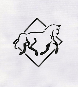Patch brodé haut de gamme pour vêtements, logo personnalisé à point plat pour chapeaux, vestes, sacs – Marquage durable - Product Image 5
