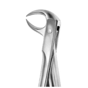 Pinzas de Extracción Dental Manuales, Anteriores Inferiores, Cónicas, de Acero Inoxidable, con Agarre Ergonómico, Certificación CE - Product Image 3