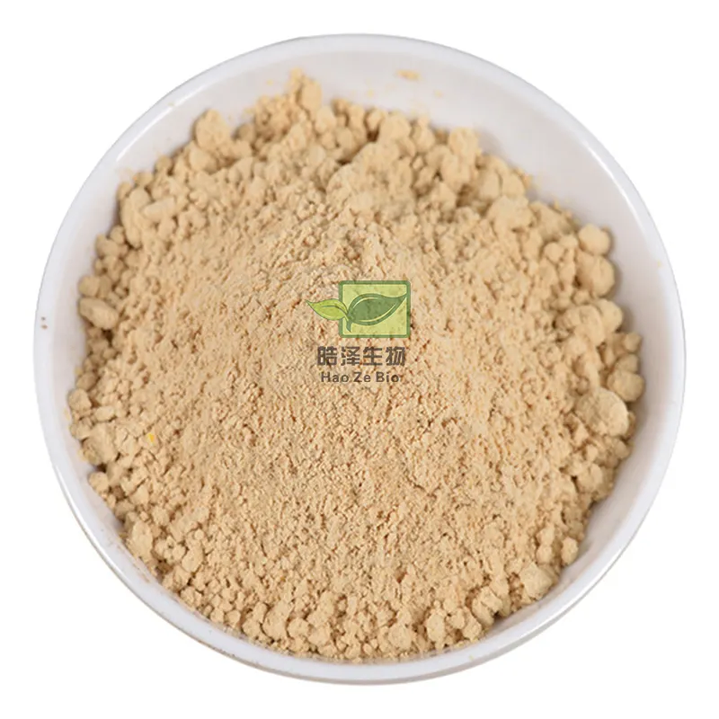 Polvo de extracto de suplemento herbal OEM, polvo de extracto de hongo melena de León