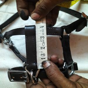 Licol pour poulain en cuir de couleur personnalisée, fait main de qualité supérieure, collier de tête pour nouveau-né, rembourrage doux, fabricant EQUINE RIDING HOUSE - Product Image 3