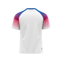 Uniformes Deportivos Personalizados OEM, Camisetas Impresas para Golf, Tenis, Fútbol, Running, Secado Rápido, Elásticas en Cuatro Direcciones, Spandex/Poliéster