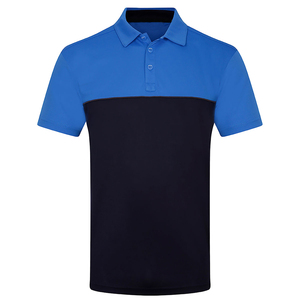 Polo Streetwear Homme 300 g/m² Coupe Oversize Épaules Tombantes avec Logo Brodé Personnalisé Fournisseur - Product Image 1