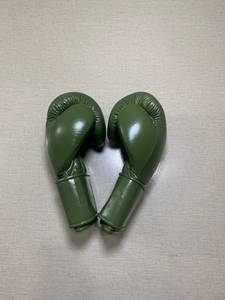 Guantes de Boxeo RTS al Por Mayor de la Más Alta Calidad, con Cuero Vacuno Puro, para Grappling y Cómodos, con Diseño Impreso AI-BG-05 - Product Image 5
