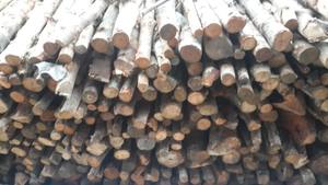 Charbon de bois de mangrove vietnamien pur, inodore, cendres blanches propres, chaleur durable - Product Image 3