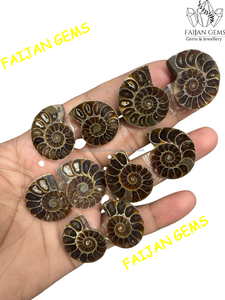 Tranche de coquille d'ammonite naturelle brune du Rajasthan, motif spirale unique, cabochon certifié par un tiers, taille personnalisable - Product Image 3