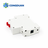 Disjoncteur miniature 1P DZ47-63 6kA Courbe C 230V 400V pour boîtier de distribution