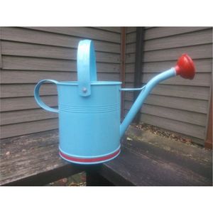 Wholesale Galvanized Iron Watering Can Long Spout <b>Heavy</b> <b>Duty</b> Metal Garden Water Pot Vintage Indoor Outdoor Plants Watering Can - Product Image 5
