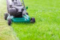 Promotion Tracteur de pelouse Ferris Zero Turn, tondeuse commerciale robuste à moteur 2 temps pour la coupe de l'herbe, Vente en gros Usine Autriche