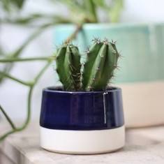 Maceta de Cerámica de Lujo en Dos Tonos con Esmalte Premium, Construcción Duradera, Decoración Moderna para Interiores, Hogar y Jardín - Product Image 5