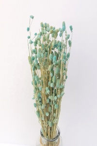 Flores Secas de Albahaca Naturales, Arreglo Floral Seco, Ramo de Flores, Flor Seca de Tailandia - Product Image 5