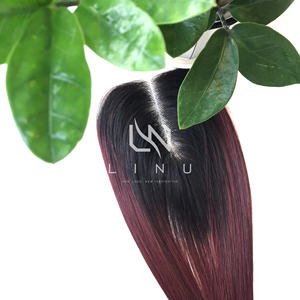 ผมต่อแบบกระดูกตรงสีเบอร์กันดีผมมนุษย์จากเวียดนาม - Product Image 4