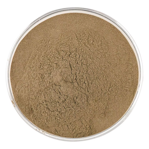 Export Quality Pure Shatavari Root <b>Extract</b> 10:1 Natural Asparagus Racemosus Root Powder for Women Wellness Supplement - Product Image 5