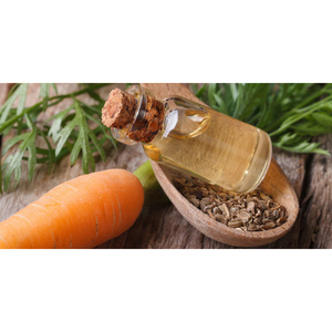 Huile Essentielle de Carotte 100% Pure (Graines) de Qualité Supérieure avec Parfum Frais pour Anti-Rides et Hydratation Profonde, Liquide 1Kg d'Inde - Product Image 3