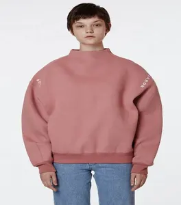 Oem شعار مخصص تيري الفرنسية البلوز الوزن الثقيل عارضة 3D الطباعة Crewneck البلوز النساء هوديس البلوز البلوز