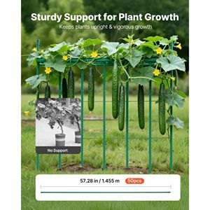 Lot de 50 piquets de jardin en métal recouvert de plastique de 57,28 pouces pour le soutien des plantes avec extrémité pointue et filet de jardinage - Product Image 2