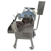 Dezoton Commerciële Kleine Automatische Fruit- en Granulaat Snijmachine Nieuwe Staat Groente Wortel Aardappel Komkommer Ui Snijmachine