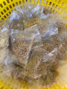 Specializing in exporting large quantities of high quality <b>dried</b> sea <b>moss</b> at competitive prices / Ms. Lima - Product Image 4