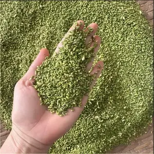 Capullo de Flor de Sófora Entero Seco, Planta Herbal Natural, Material Botánico Ecológico - Product Image 1