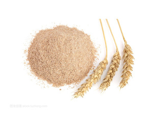Vente en gros de gluten de blé de qualité supérieure, qualité alimentaire, prêt à expédier, meilleur stock, approvisionnement pour l'exportation - Product Image 1