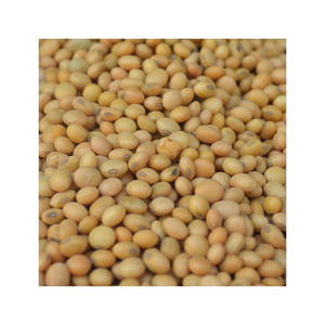 Soja biologique de qualité supérieure, non-OGM, du Brésil, soja sain du Brésil - Product Image 4