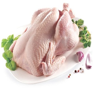Pollo Entero Congelado para Exportación, Empaque de 25 kg, Calidad Consistente, Carne Nutritiva y 1 Año de Vida Útil - Product Image 3