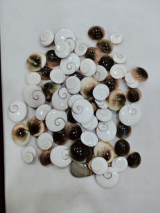 Piedras preciosas naturales de ojo de Shiva, fabricación de joyas, cabujón natural, piedras preciosas sueltas de La India, piedras preciosas sueltas indias hechas a mano - Product Image 2