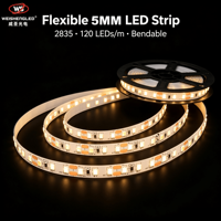 Bande LED flexible haute luminosité DC24V 120LEDs/m SMD2835, température de couleur 3000K-6000K, éclairage paysager à corps en cuivre.