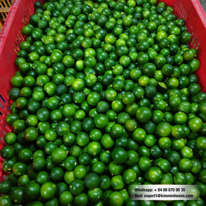 Calamansi frais de qualité supérieure du Vietnam pour les marchés mondiaux, les acheteurs en gros et l'approvisionnement fiable en vrac pour l'exportation - Product Image 4