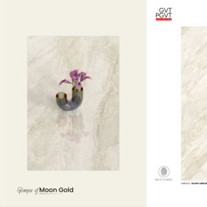 Azulejos de Porcelana Arquitectónicos 60X120CM 600X1200MM 24X48 Acabado Brillante Formato Grande Superficie Premium Para Espacios Elegantes - Product Image 1