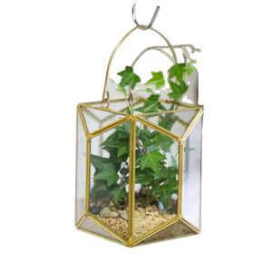 Jardinière suspendue en verre et métal doré de luxe, design géométrique élégant, panneaux transparents, présentoir stylé pour plantes d'intérieur, décoration de la maison - Product Image 1