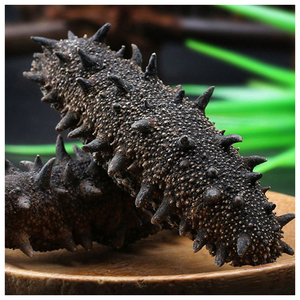 Pepino de mar seco a precio de mayorista en venta - Product Image 6