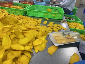 Tranches de mangue tropicale séchée du Vietnam, texture moelleuse, couleur jaune, 97% mangue, 3% sucre, goût sucré, 1 kg, emballées sous vide, qualité supérieure - Product Image 6