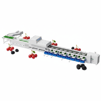 Zachte sorteerders voor avocado's, fruit sorteermachine met rollen, knoflookseparator, appel sorteermachine, fruit- en tomaten sorteermachine