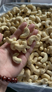 Direct Manufacturer Price Vietnamese Cashew Nut | Premium Quality WW120/240/320/LP Large Capacity Supply 12 Months Shelf Life - Product Image 6