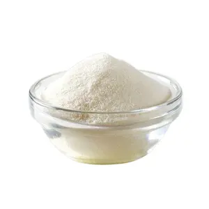 Niedriger Preis Großhandel Pure Powder Food Grade Chitosan