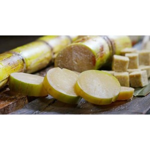 Caña de Azúcar 100% Natural, Ecológica, Fuente de Edulcorante, Calidad de Exportación, Cañas Frescas Recién Cosechadas para la Venta, Azúcar Fresco de Granja - Product Image 2