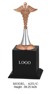 Trofeo de Metal Dorado, Plateado y Bronce con Base Negra, Temática Deportiva, Impresión UV, Técnica de Fundición, Premios Médicos, Actividades Promocionales - Product Image 6